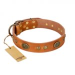 "Sun Beams" FDT Artisan Tan Leather Rottweiler Collar with Decorations