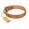 "Feast of Luxury" FDT Artisan Tan Leather Rottweiler Collar with Old Bronze Look Circles