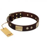 "Middle Age" FDT Artisan Brown Leather Rottweiler Collar with Old Bronze-Plated Engraved Flowers and Large Plates