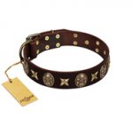 "Captain Hook" FDT Artisan Brown Leather Rottweiler Collar with Stars and Skulls
