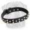 Beautiful Leather Dog Collar with Conical Pyramids