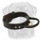 2 Ply Leather Agitation Dog Collar with Super Strong Handle