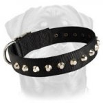 Most Beautiful Nylon Collar - 1 Row Studs Rottweiler Collar - 1 1/2 inch Wide