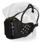 Leather dog muzzle for Rottweiler agitation training