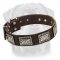 War Design Leather Dog Collar for Rottweiler