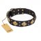 "Fancy-Schmancy" FDT Artisan Studded Leather Rottweiler Collar