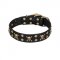 'Jolly Rojer' FDT Artisan Rottweiler Leather Dog Collar with Pirate Skulls and Studs - 1 1/2 inch (40 mm) wide