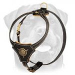 Stylish Handmade Leather Harness for your Rotty