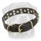 Stylish Leather Rottweiler Collar with Brass Pyramids for Walking