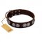 "High and Mighty" FDT Artisan Classy Brown Leather Rottweiler Collar with Embellished Brooches