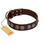 "Treasure Hunter" FDT Artisan Brown Leather Rottweiler Collar with Old-Bronze-like and Silvery Medallions