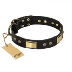 "Black Sun" FDT Artisan Leather Rottweiler Collar with Brass Plated Decorations