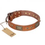 "Catchy Look" FDT Artisan Decorated Tan Leather Rottweiler Collar