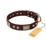 "Pirate Skull" FDT Artisan Brown Leather Rottweiler Collar with Old Silver Look Plates and Skulls