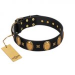 "Doggie Woggie" Designer Handmade FDT Artisan Black Leather Rottweiler Collar with Ovals and Studs