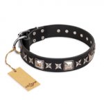 'Space Walk' FDT Artisan Black Leather Rottweiler Collar with Adornments