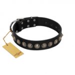 "Black Eagle" Handcrafted FDT Artisan Black Leather Rottweiler Collar with Silver-Like Adornments