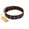 "Skull Valley" Handcrafted FDT Artisan Brown Leather Rottweiler Collar with Skulls