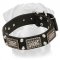 War Rottweiler Leather Collar