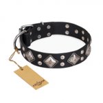 "Smart Geometry" FDT Artisan Studded Leather Rottweiler Collar