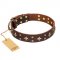 'High Fashion' FDT Artisan Embellished Brown Leather Rottweiler Collar