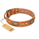 "Saucy Nature" FDT Artisan Tan Leather Rottweiler Collar with Old Bronze Look Plates and Skulls