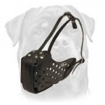 Fine Leather Dog Muzzle for Agitation/Attack Work with Rottweiler