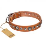 "Daily Chic" FDT Artisan Tan Leather Rottweiler Collar with Decorations
