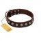 "Lucky Silver" Designer Handmade FDT Artisan Brown Leather Rottweiler Collar