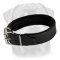 Leather Dog Collar Padded with Thick Felt