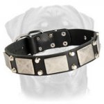 Vintage Collar for Rottweilers - Studded with Branded Elements - Great Invention for Canines