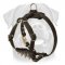 Leather Puppy Harness with Spiked Delicate Chest