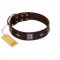 "Cold Star" Designer FDT Artisan Brown Leather Rottweiler Collar with Silver-Like Adornments