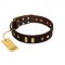 "Blinking Illusion" FDT Artisan Brown Leather Rottweiler Collar with Old Bronze-like Studs and Plates