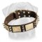War Leather Collar - Rottweiler Collar Decorated with Plates & Spikes