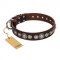 "Step and Sparkle" FDT Artisan Glamorous Studded Brown Leather Rottweiler Collar