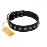 "Inky Prettification" FDT Artisan Black Leather Rottweiler Collar with One Row of Studs