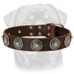 RotteLeather Dog Collar & Silver Plated Circles Blue Stones