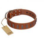 "Silver Century" Fashionable FDT Artisan Tan Leather Rottweiler Collar with Silver-Like Plates