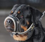 Rottweiler Royal Nappa Leather Dog Muzzle - Safe Walking Muzzle