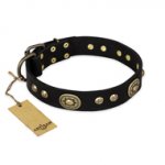"High Fashion" FDT Artisan Studded with Plates Black Leather Rottweiler Collar