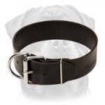Wide Leather Dog Collar-Strong Walking/Training Rottweiler Breed Collar
