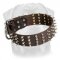 2 inch wide Leather Spiked Rottweiler Collar