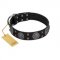 "Boundless Blue" FDT Artisan Black Leather Rottweiler Collar with Chrome Plated Brooches and Square Studs