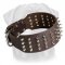 3 inch Custom Spiked Collar for Rottweiler