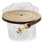 Best Tracking Dog Leash with Brass Snap Hook for Rottweilers