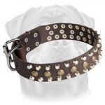 Leather Dog Collar with pyramids and studs