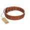 "Guard of Honour " Designer FDT Artisan Tan Leather Rottweiler Collar with Small Dotted Pyramids