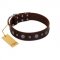 "Pure Sensation" Exclusive FDT Artisan Brown Leather Rottweiler Collar with Fancy Brooches and Studs