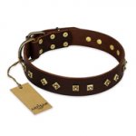 "Fashion Studs" FDT Artisan Decorated Leather Rottweiler Collar with Old Bronze-Plated Steel Hardware